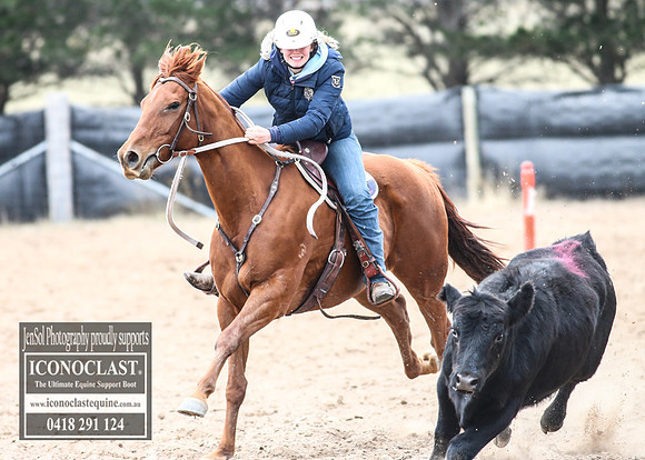 GoulburnCampdraft2018_8519