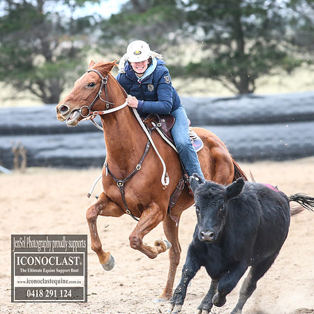 GoulburnCampdraft2018_8520