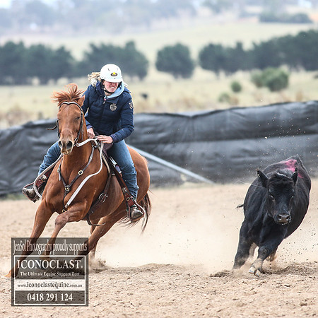 GoulburnCampdraft2018_8527