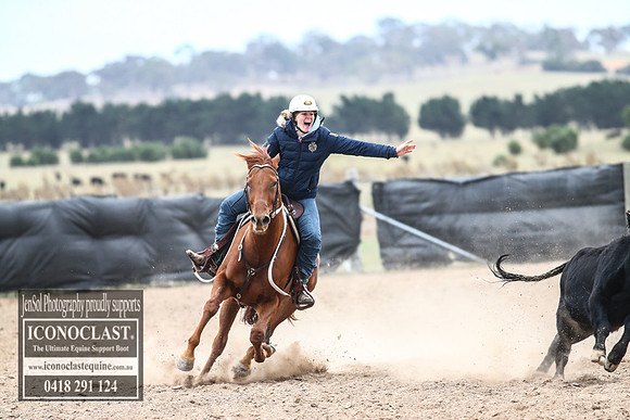 GoulburnCampdraft2018_8529