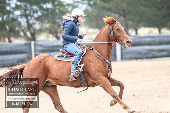 GoulburnCampdraft2018_8543