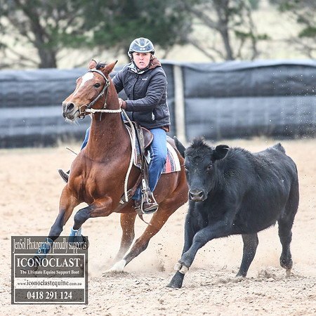 GoulburnCampdraft2018_8581