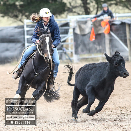 GoulburnCampdraft2018_8600