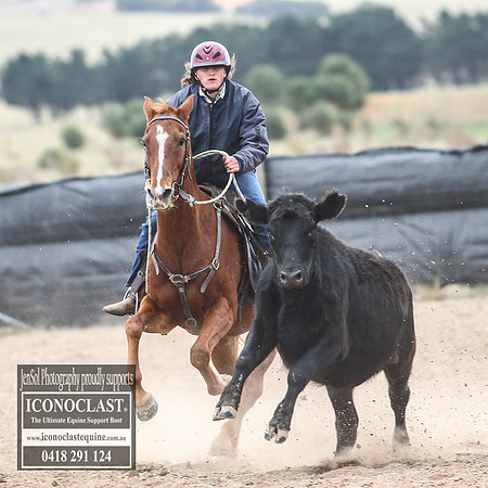 GoulburnCampdraft2018_8611