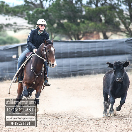 GoulburnCampdraft2018_8618