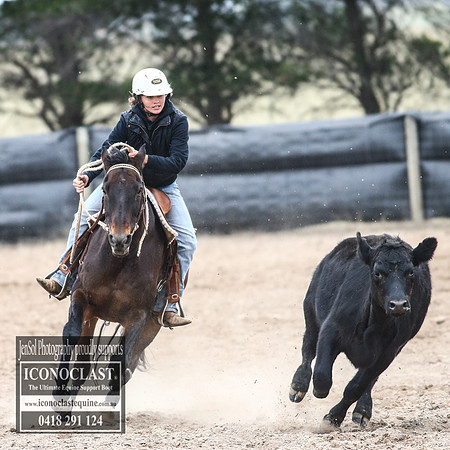 GoulburnCampdraft2018_8624