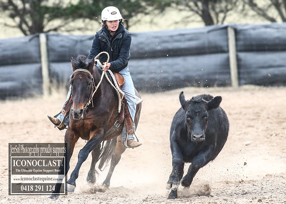 GoulburnCampdraft2018_8628