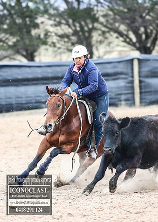 GoulburnCampdraft2018_8651