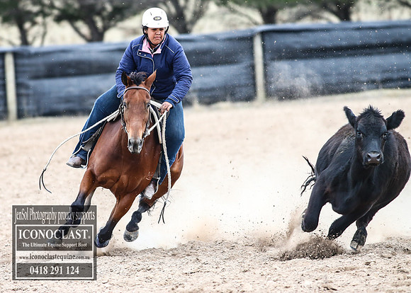 GoulburnCampdraft2018_8664