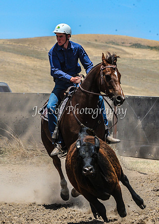 AdaminabyCampdraftSun2015_3205