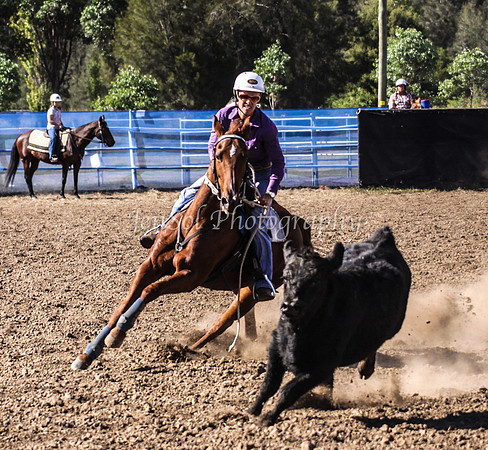 IMG_0313CCCSun