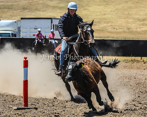 AdaminabyCampdraft2015_0321