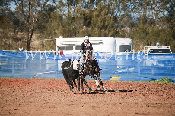 CCCampdraft2016_5158