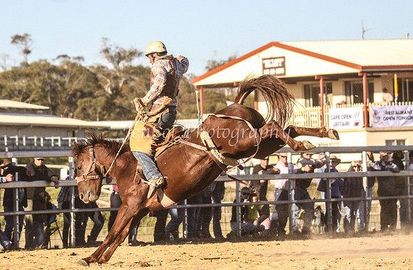IMG_0868Jindy