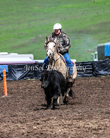 CabanandraCampdraft2014_2350