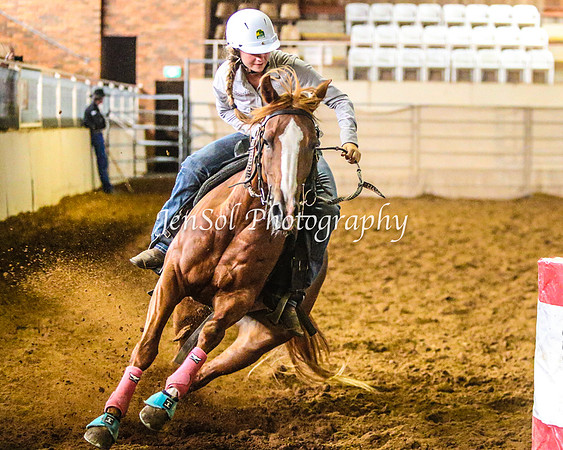 RealDealRodeoFeb2014_0321