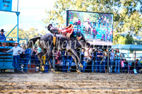 TumutRodeo2017_2989