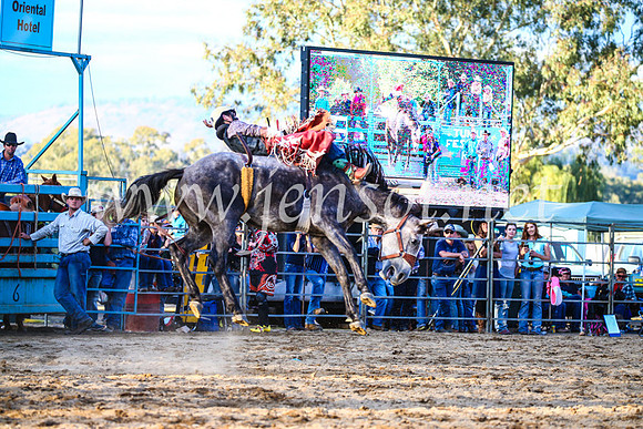 TumutRodeo2017_2989