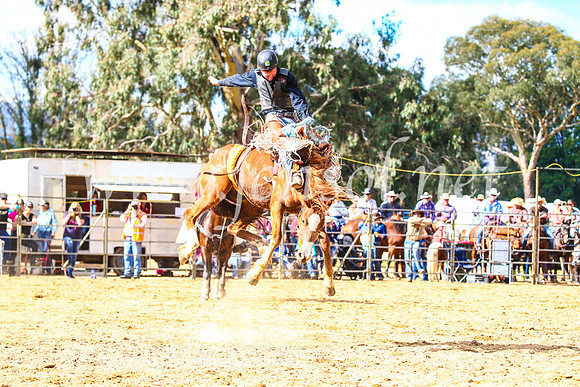 TumutRodeo2017_1616