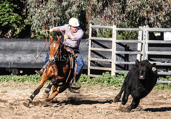 IMG_0115Jugiong1