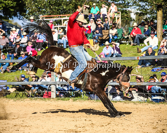TumutRodeo2014_3120
