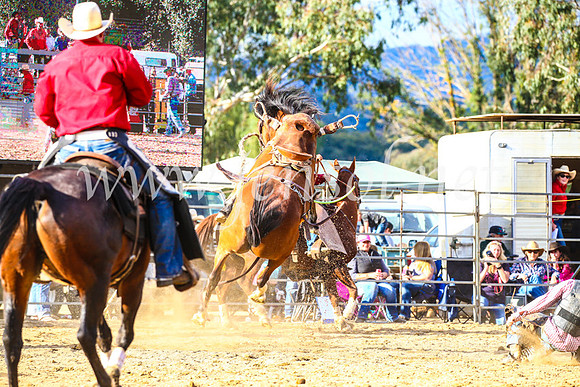 TumutRodeo2017_2308