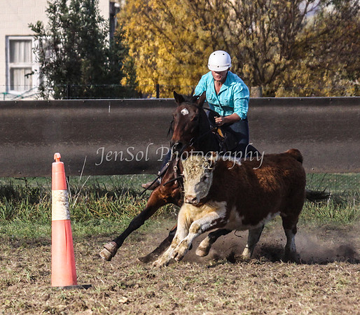 IMG_0005Jugiong2
