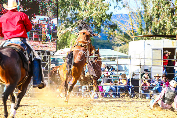 TumutRodeo2017_2307