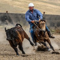 AdaminabyCampdraftSun2015_3479