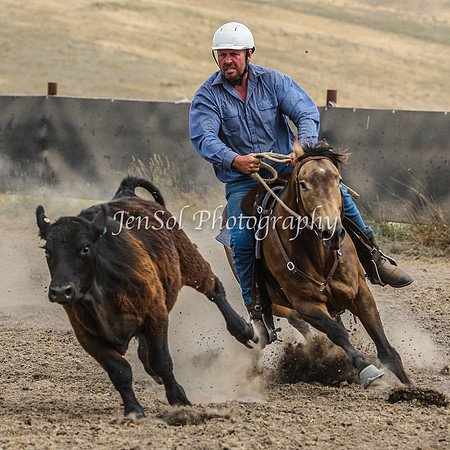 AdaminabyCampdraftSun2015_3479