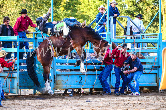 TumutRodeo2017_2967