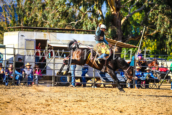 TumutRodeo2017_2411