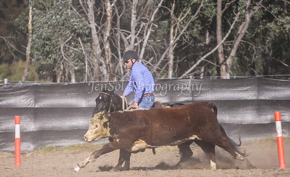 Gundi7_0088