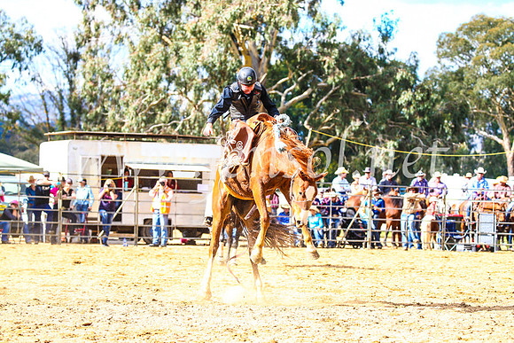 TumutRodeo2017_1599
