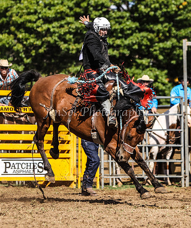 IMG_0099Qbn2