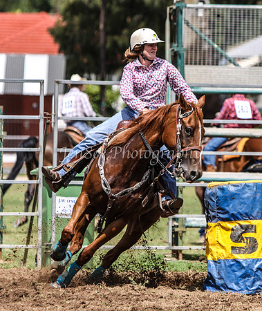IMG_0288Qbn1