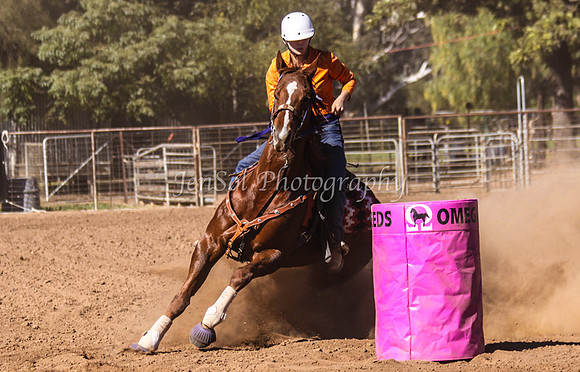 Dubbo2 295