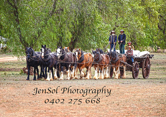 10Team_0651