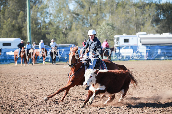 CCCampdraft2016_5176