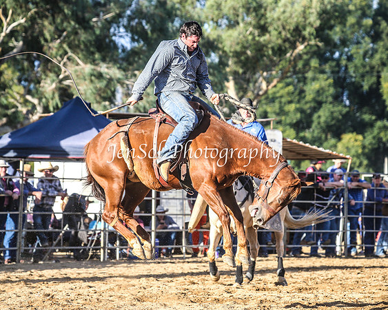 TumutRodeo2014_3210