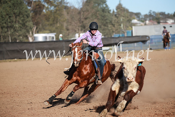 CCCampdraft2016_6453
