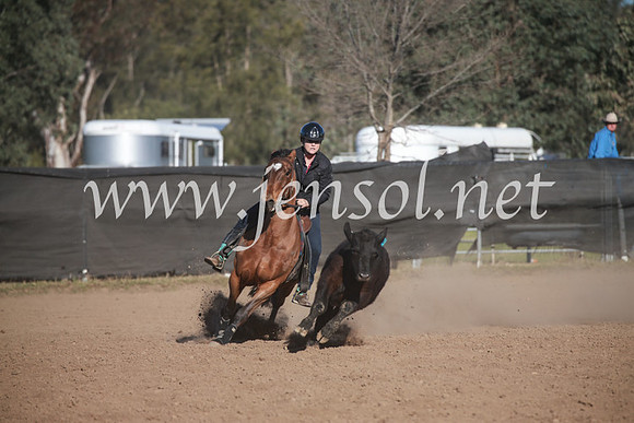 CCCampdraft2016_6448