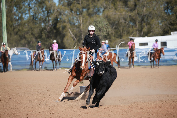 CCCampdraft2016_6208