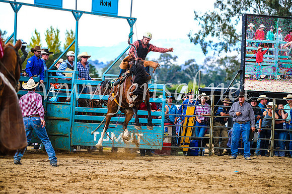 TumutRodeo2017_1498
