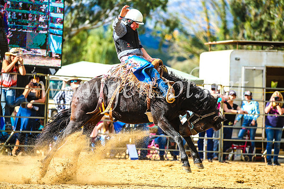 TumutRodeo2017_1662