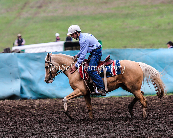 CabanandraCampdraft2014_2264