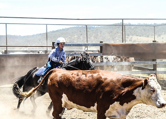 AdaminabyCampdraft2015_0768