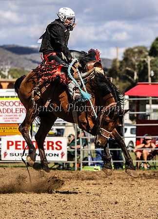 IMG_0104Qbn2