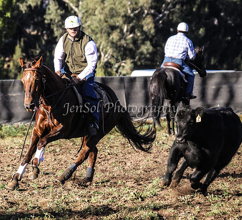 IMG_0048Jugiong1