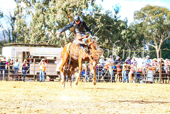 TumutRodeo2017_1615